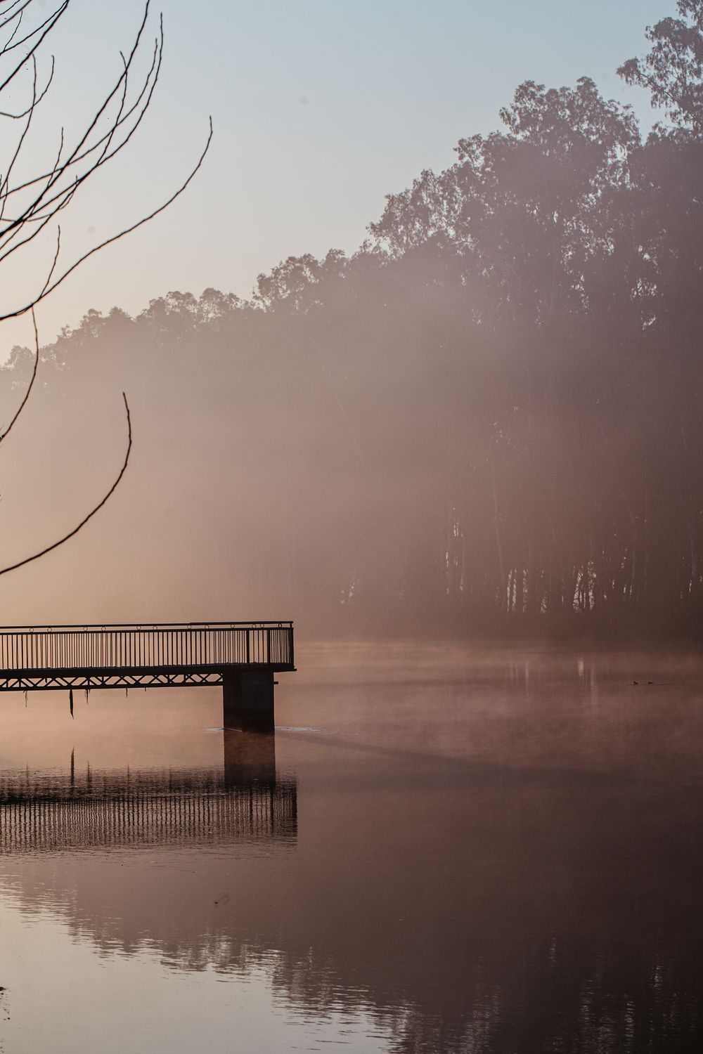 Morning mist resting on still lake water