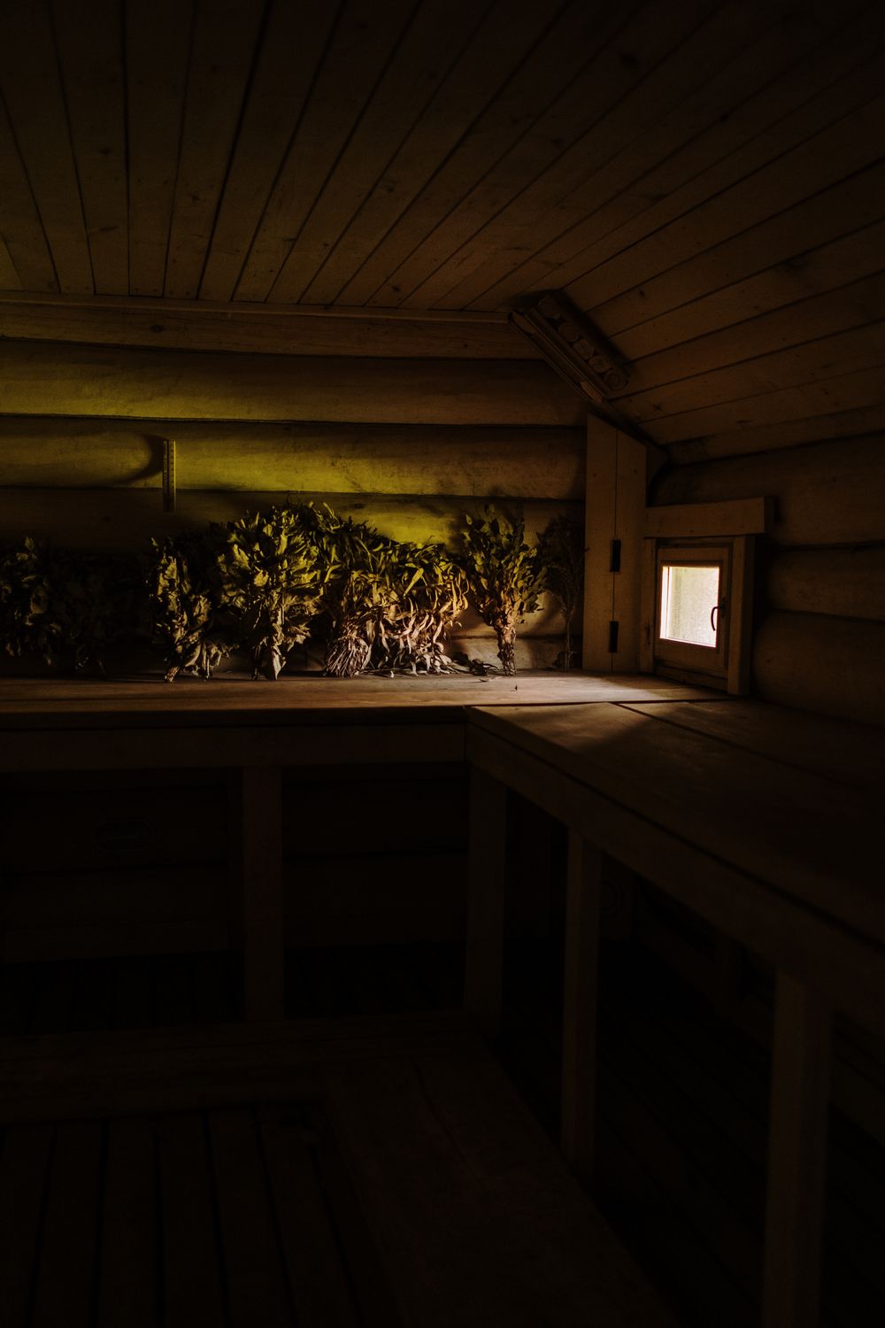 Warm wooden benches inside a sauna in soft light